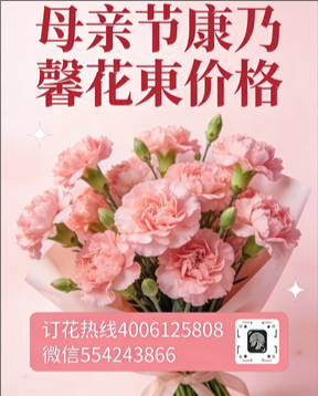 淮北烈山区花店母亲节康乃馨花束
